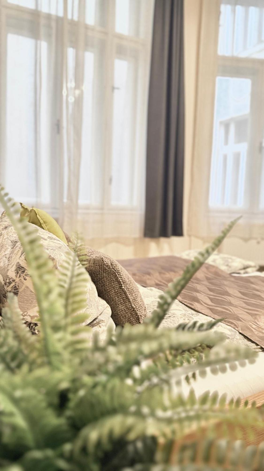 דירות בודפשט City Centrum Fashionstreet Apartman מראה חיצוני תמונה