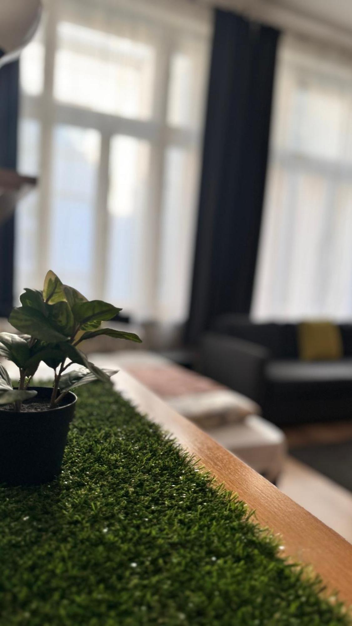 דירות בודפשט City Centrum Fashionstreet Apartman מראה חיצוני תמונה